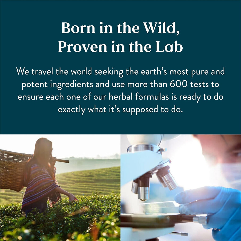 Lymphatic Drainage Supplement with Time-Honored Herbal Blend